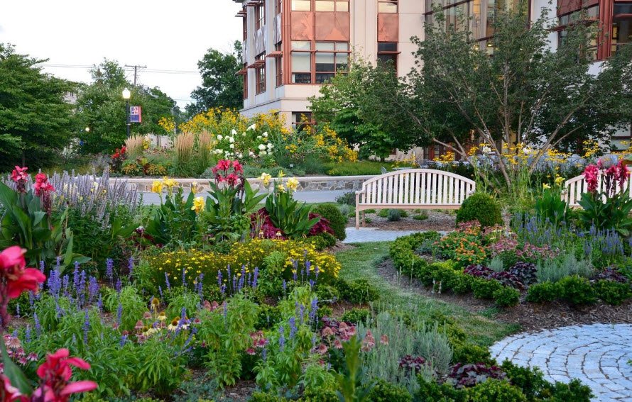 American University Arboretum and Gardens, United States